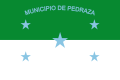 Flag of Pedraza (Magdalena).