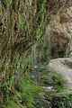 Rinnende Mauer in der Steyrschlucht.