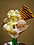 Ice Cream dessert 02.jpg
