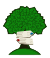 Pod sesterskou lípou