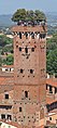 Torre Guinigi (note the tree ontop).