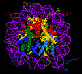 Crystal structure of the nucleosome core particle (PDB ID: 1EQZ).