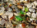 Glass Beach Fort Bragg.