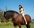 Nacktreiten — Nackte junge Frau auf einem "nackten" Pferd.