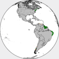Dutch in the Americas.